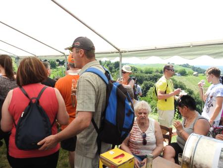 12. pohod Pomlad v prleških goricah Dan odprtih kleti in veselih ljudi, 28.5.2016 65